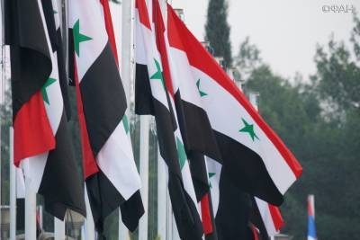 В Сирии прошла гуманитарная акция «В Дамаск с любовью из России»
