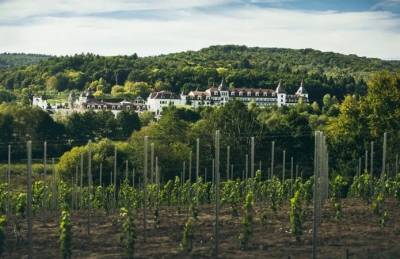 Винодельня Chаteau Edem увеличит объемы производства вина