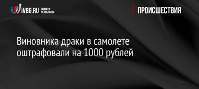 Виновника драки в самолете оштрафовали на 1000 рублей