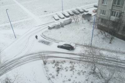 Синоптики ожидают теплую зиму в Петербурге