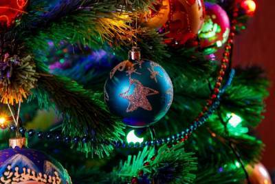 В Ленобласти могут ужесточить ограничения на время празднования Нового года и Рождества