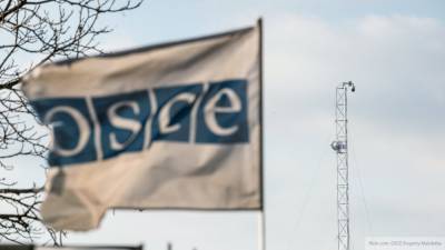 ОБСЕ рассказала об отсутствии прогресса в переговорах ТГК по Донбассу