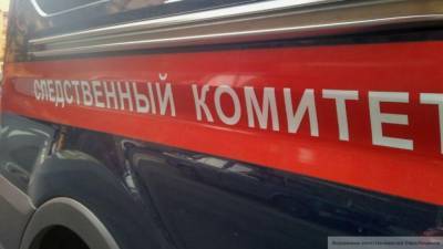 СК возбудил дело после исчезновения подростка в Тверской области