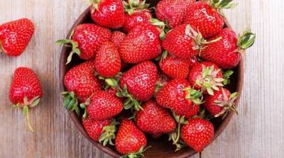 Сорта клубники для дачи: ягоды какого сорта дадут лучший урожай?