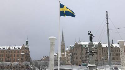 Шведы перестали доверять властям в вопросе борьбы с коронавирусом