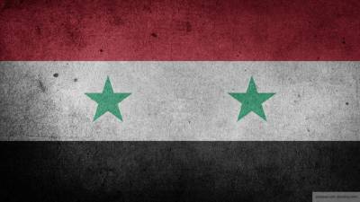 Россия провела гуманитарную акцию в пострадавшей от обстрелов Сирии