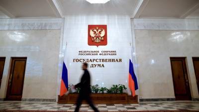 В Госдуме предлагают создать в России программу «Семейный индекс»