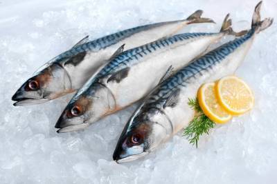 В Бурятии проверили качество рыбы и морепродуктов