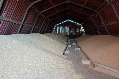 Фермер из Агинского района планирует начать экспорт зерна в Китай в 2021 году - chita.ru - Китай - округ Агинский Бурятский