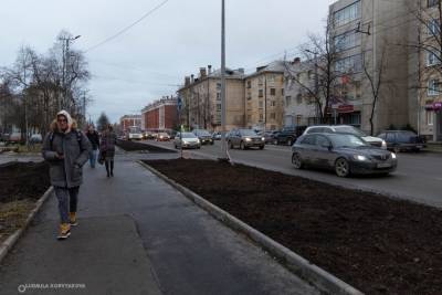 Подрядчика оштрафуют за невосстановленные липы в Петрозаводске