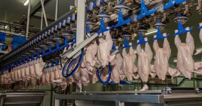 Украина вернулась в тройку лидеров по экспорту курятины в страны ЕС