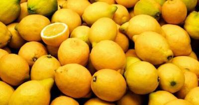 Вопросы наращивания экспорта таджикского лимона обсуждены в Душанбе