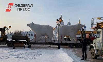 Мэр Афанасьев сообщил, что в Тобольск прибыли новогодние мишки