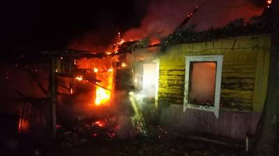 Два человека погибли на пожаре в Жлобинском районе