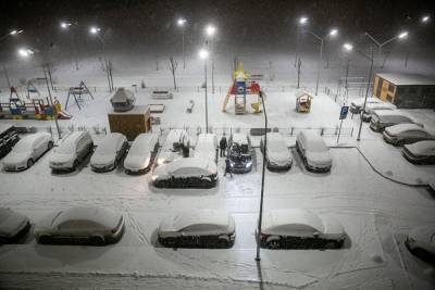 В ближайшие сутки в Курганской области начнется снегопад