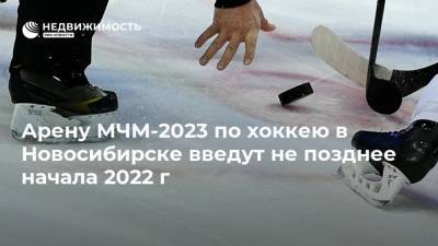Арену МЧМ-2023 по хоккею в Новосибирске введут не позднее начала 2022 г