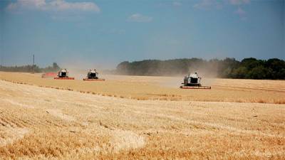 Трудный урожай-2020: испытание для аграриев и подорожание продуктов