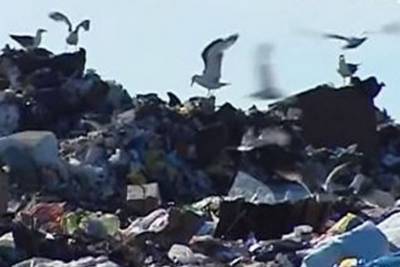 Прокуратура оштрафовала оператора мусорных полигонов в Тюменской области на ₽450 тыс.