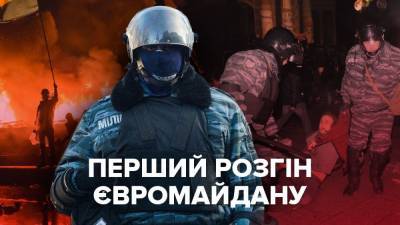 Дубинками по розовой куртке: воспоминания о ночи, когда "Беркут" избил меня на Майдане