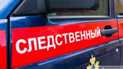 Владелица "ВИМ-Авиа" Мурсекаева объявлена в розыск по делу о мошенничестве