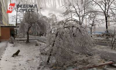 Эксперт назвал главную причину коллапса в Приморье. «Дело не только в силе циклона»