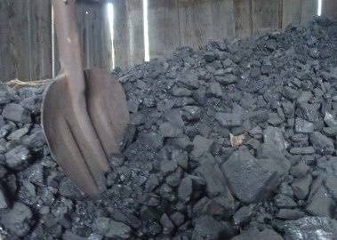 Более 3 тысяч многодетных семей Тувы получили бесплатный уголь и дрова