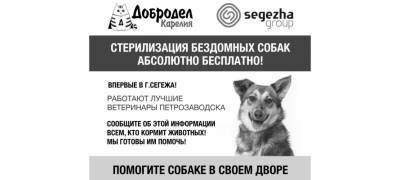 Segezha Group поддержала проект по решению вопроса с безнадзорными животными в Сегеже
