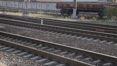 Поезд до Москвы насмерть сбил на станции Тосно пьяного мужчину