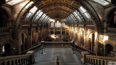 Лондонский музей собирает сны горожан о коронавирусе