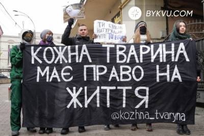 Кровавая распродажа: в Киеве провели марш ко Всемирному дню без меха