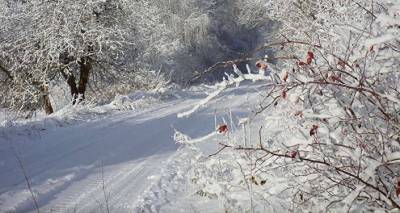 В Латвии выпал снег и обледенели дороги: пора менять резину