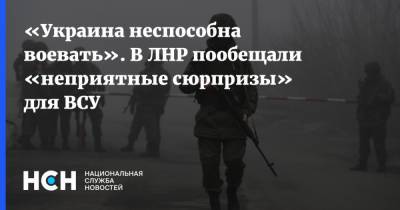 «Украина неспособна воевать». В ЛНР пообещали «неприятные сюрпризы» для ВСУ