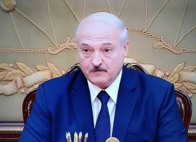 Александр Лукашенко - Лукашенко назвал коронавирус «политической и экономической болезнью» - argumenti.ru - Россия - Белоруссия - Минск