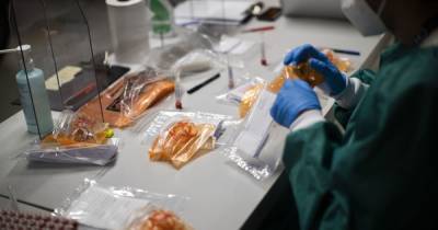 "Карантин выходного дня и локдаун ничего не дадут": в Житомире озвучили результаты массовых тестирований на антитела к коронавирусу