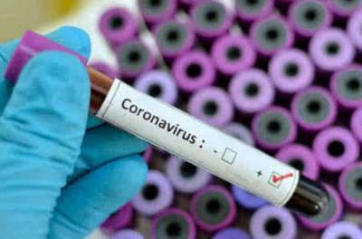 Агония на Буковине продолжается: коронавирус за сутки поразил полтысячи человек