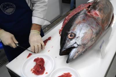Эксперт предостерёг от чрезмерного потребления тунца из-за содержания ртути