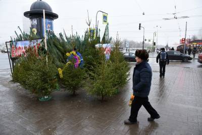 Сезон елочных базаров в Петербурге откроется 20 декабря