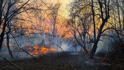 Пожароопасный сезон в России официально закрыт