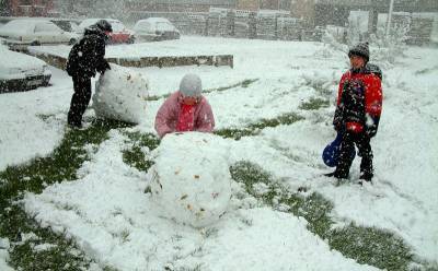 Москвичам пообещали 7 сантиметров снега