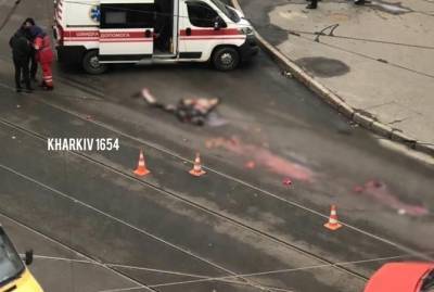 Появилось видео жуткого ДТП в Харькове, где погибла работница вуза