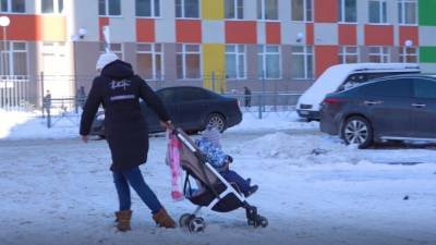 День матери в Петербурге постараются отметить в онлайн-формате