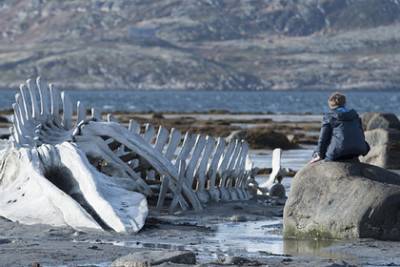 В Териберке установят скелет кита из «Левиафана»