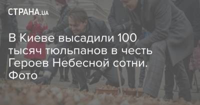 В Киеве высадили 100 тысяч тюльпанов в честь Героев Небесной сотни. Фото
