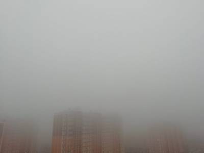 Туман не повлиял на расписание Платова и движение по донским трассам