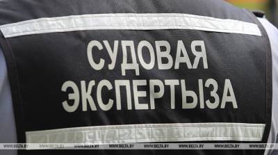 Серию дачных краж раскрыли в Белыничском районе