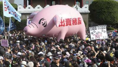 На Тайване в парламенте депутаты забросали друг друга свиными потрохами (ВИДЕО)