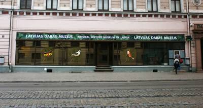 "Никто больше не забывает своих вещей": Латвийский музей природы скучает по посетителям