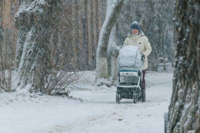 В Москве в первый день календарной зимы выпадет 7 см снега