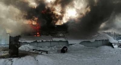 В Нижневартовске в товариществе «Досуг» сгорели 12 баранов и 30 куриц