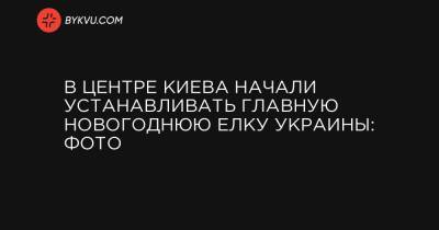 В центре Киева начали устанавливать главную новогоднюю елку Украины: фото